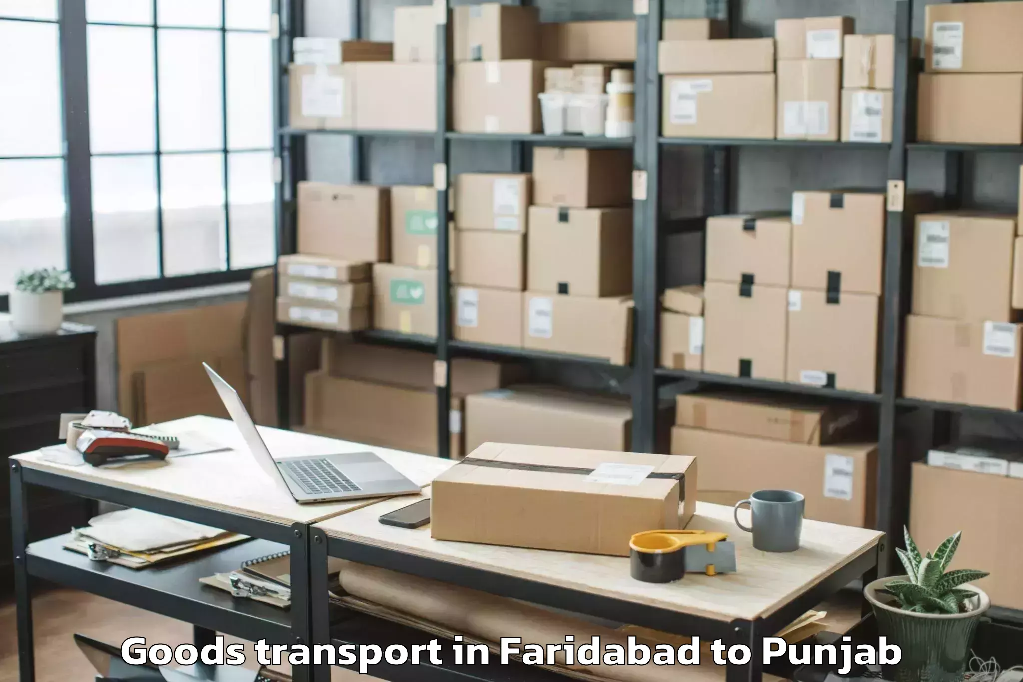 Leading Faridabad to Bhogpur Goods Transport Provider